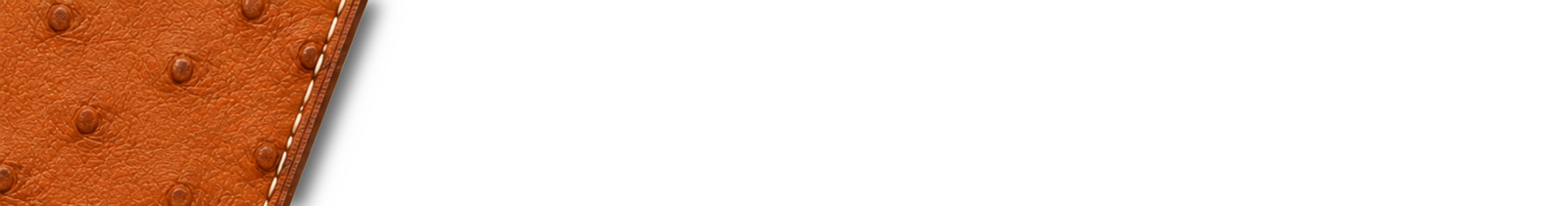 Vero struzzo miele