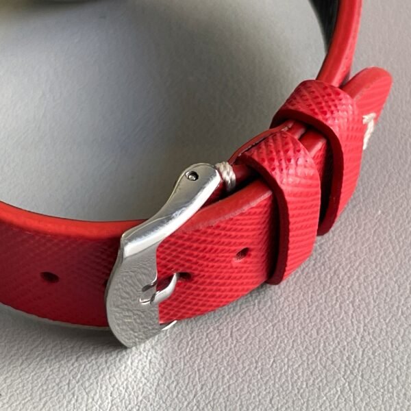 IMG_7803 Saffiano rosso