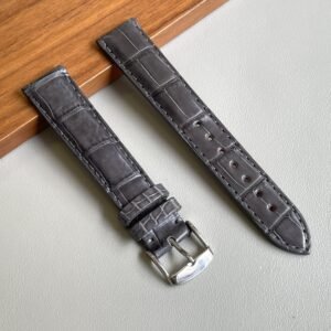 Alligatore grigio