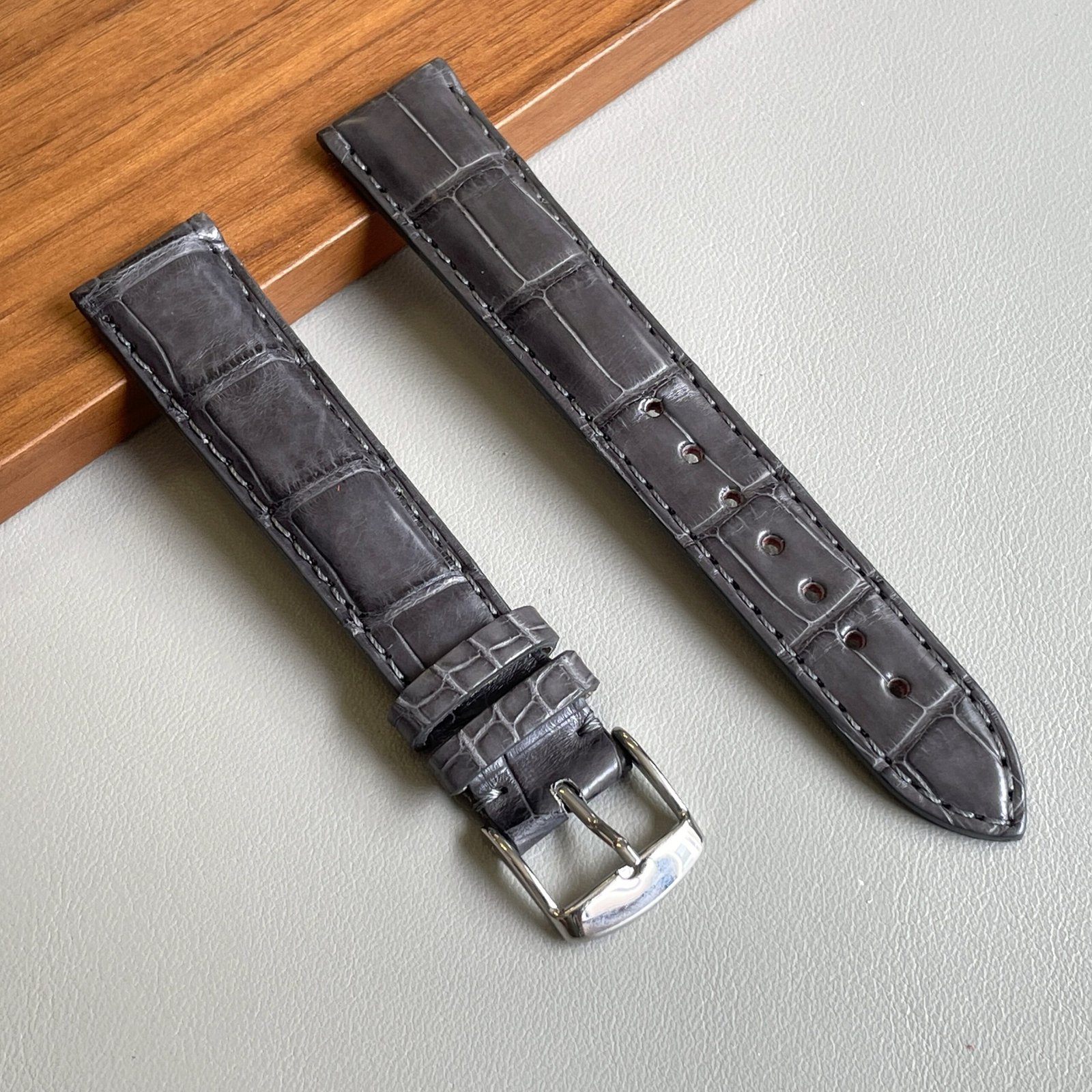 Alligatore grigio