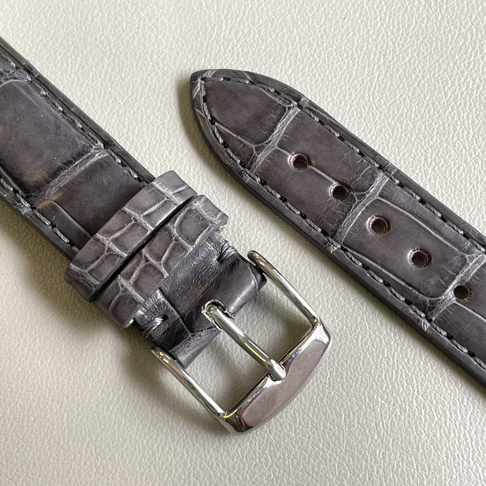 Alligatore grigio - immagine 4