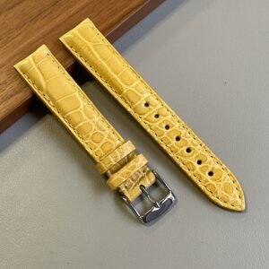 alligatore giallo