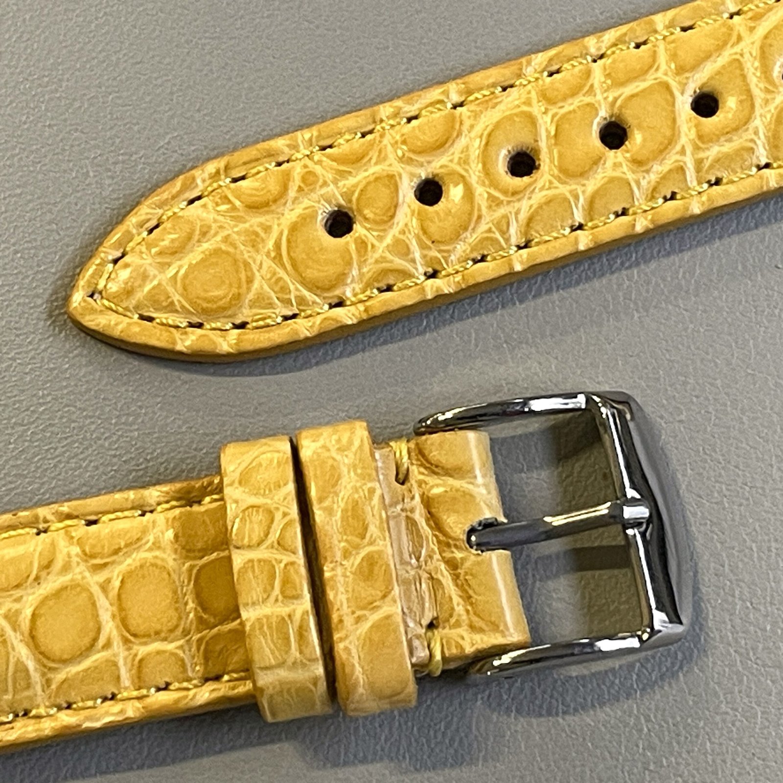 alligatore giallo - immagine 6