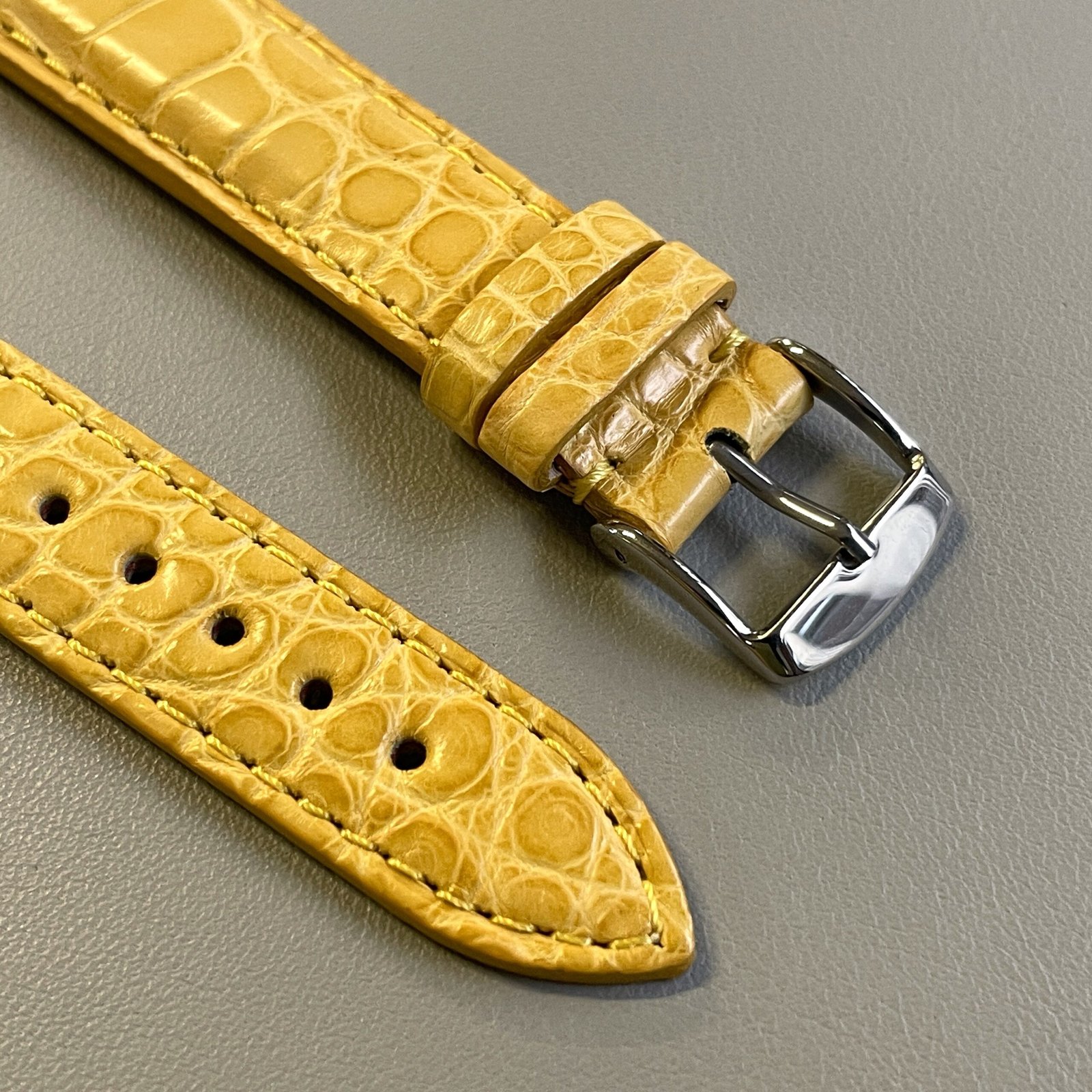 alligatore giallo - immagine 5