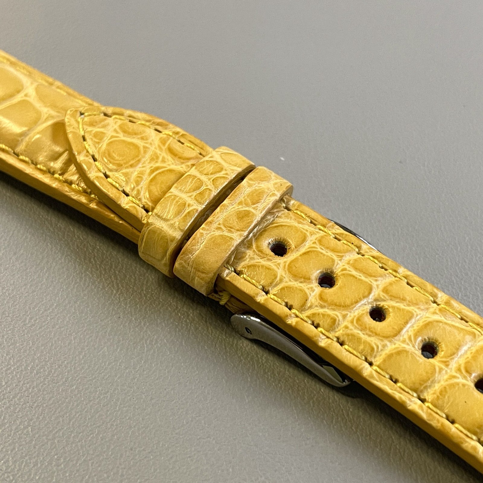alligatore giallo - immagine 3